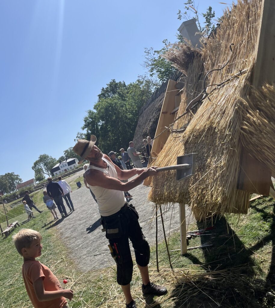 Demostration av vass- och halmtak